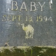 Doris Duke&#39;s Pet Cemetery