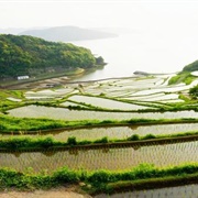 Doya Rice Terraces, Matsuura