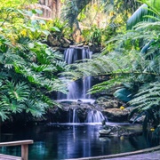 Marie Selby Botanical Gardens, Sarasota, Florida