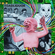 Toadliquor - Back in the Hole
