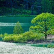 Shirakami-Sanchi (Mononoke)