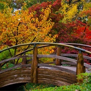 Fort Worth Botanic Garden, Texas