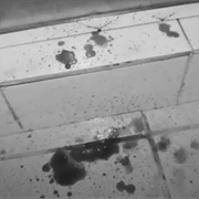 Deadly Women: "Love You to Pieces" (S6,E7)