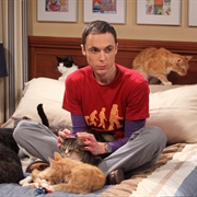 S4.E3: The Zazzy Substitution