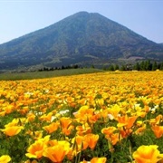 Kobayashi, Miyazaki, Japan