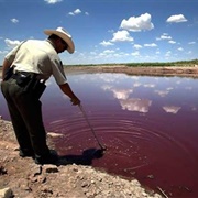Blood Lake: The O.C. Fisher Reservoir