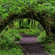 One Square Inch of Silence