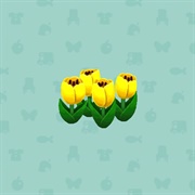 Yellow Tulips