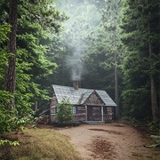 Own Land in a Forest