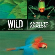 Wild South America (2000)