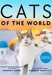 Cats of the World (Hannah Shaw, Andrew Marttila)