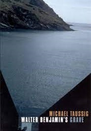 Walter Benjamin's Grave (Michael Taussig)