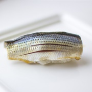 Dotted Gizzard Shad (Konosirus)