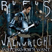 Rufus Wainwright – the Art Teacher