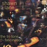 The Way It Has to Be - Shawn Lane