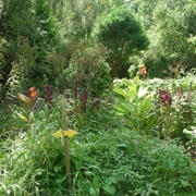 Gardenview Horticultural Park