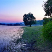 Holme Fen, Cambridgeshire, England