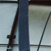 Nearly Daffodils - English Teacher