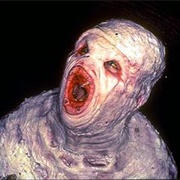 The X-Files: "The Host" (S2,E2)