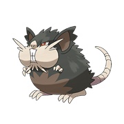 Ratticate (Alola)