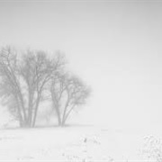 Disappear in the Fog