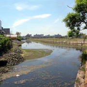 Coney Island Creek