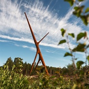 'Soorebane' ('Bog Fox')