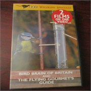 Bird Brain of Britain