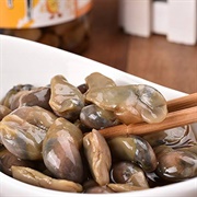 Korean Mud Snail (Bullacta Exarata)