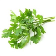 Flat Leaf Parsley