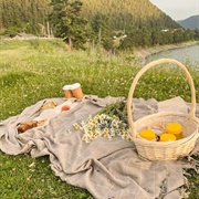 Picniccore