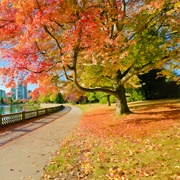 Stanley Park, Canada