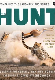 The Hunt (Alastair Fothergill)