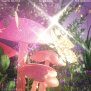 Over Now - Calvin Harris & the Weeknd