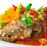 Whitespotted Surgeonfish (Acanthurus Guttatus)