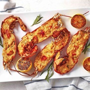 European Lobster (Homarus Gammarus)