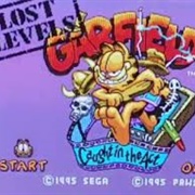 Garfield: The Lost Levels