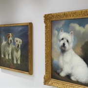 The American Kennel Club Museum of the Dog