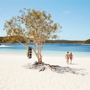 Visit K'gari (Fraser Island - World's Largest Sand Island)