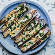 Pacific Razor Clam