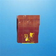 Trần Uy Đức - Came