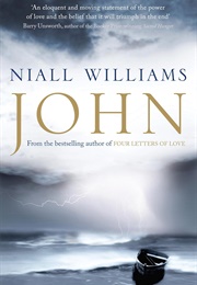 John: A Novel (Niall Williams)