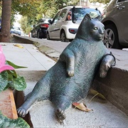 Tombili the Cat, Turkey