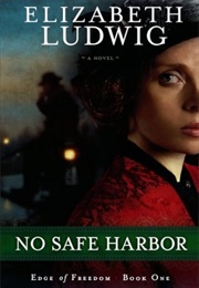 No Safe Harbor (Ludwig, Elizabeth)