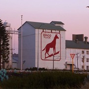 Dingo Flour Sign