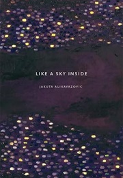 Like a Sky Inside (Jakuta Alikavazovic)