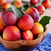 Nectarines