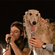 Dogs - Pink Floyd