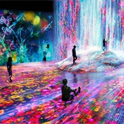 Teamlab Borderless, Japan