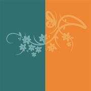 Teal / Orange